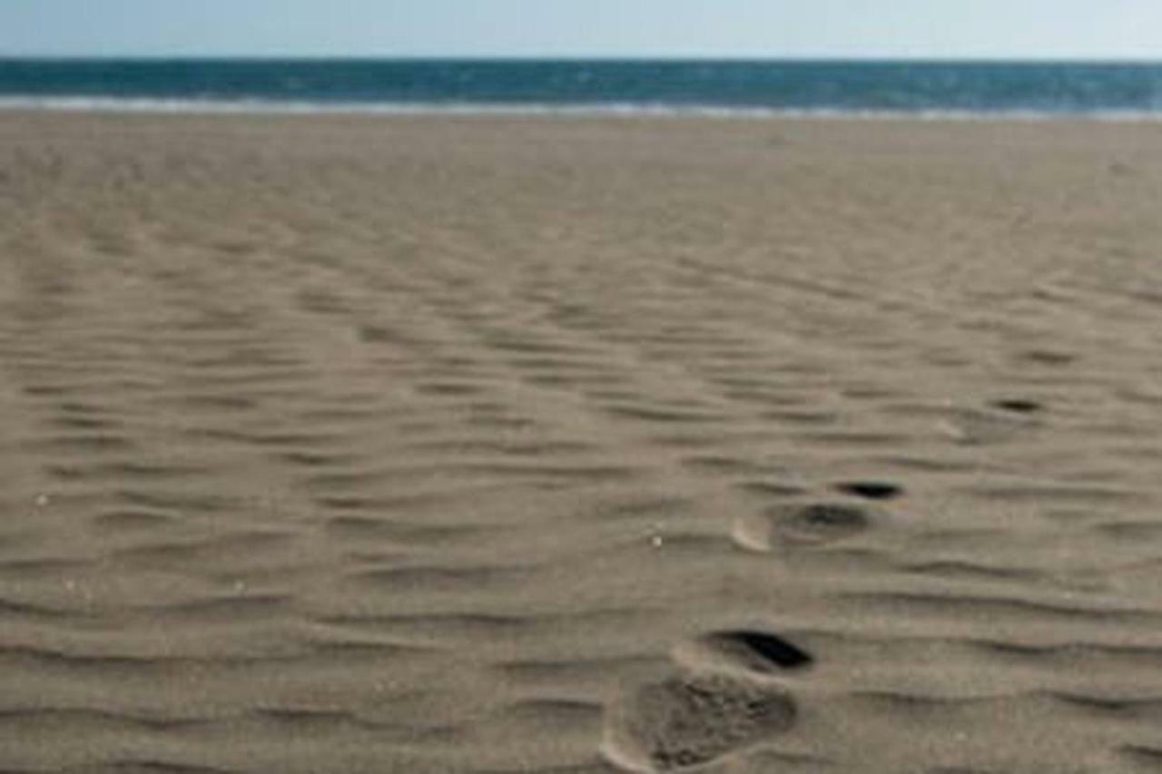 Primera Linea De Playa De Las Burras San Agustín Eksteriør bilde